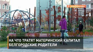 На что тратят материнский капитал белгородские родители