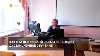 Как в Белгородской области проходит дистанционное обучение
