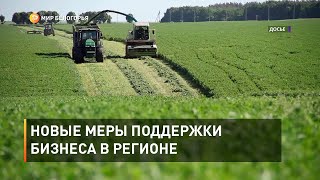 Новые меры поддержки бизнеса в регионе