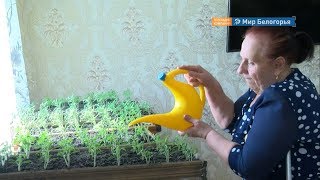 Помощь жительнице села Подсереднее Алексеевского округа