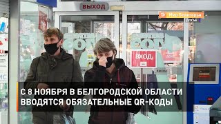 С 8 ноября в Белгородской области вводятся обязательные QR-коды