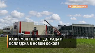Капремонт школ, детсада и колледжа в Новом Осколе