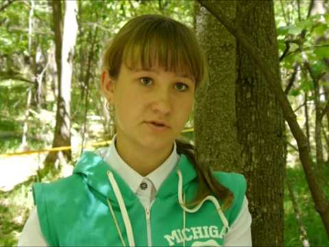 Лучшие школьные лесничества области