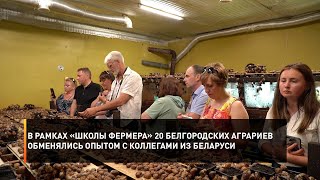 В рамках «Школы фермера» 20 белгородских аграриев обменялись опытом с коллегами из Беларуси