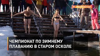 Чемпионат по зимнему плаванию в Старом Осколе 