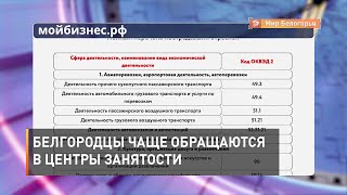 Белгородцы чаще обращаются в центры занятости