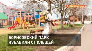 Борисовский парк избавили от клещей