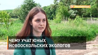 Чему учат юных новооскольских экологов 