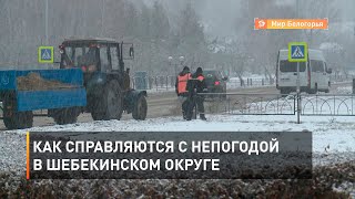 Как справляются с непогодой в Шебекинском округе