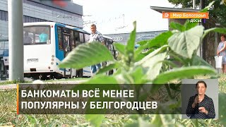 Банкоматы всё менее популярны у белгородцев 