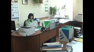 Алименты родителям-одиночкам будет платить государство