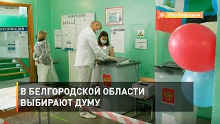 В Белгородской области выбирают думу