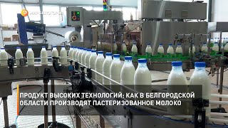 Продукт высоких технологий: как в Белгородской области производят пастеризованное молоко