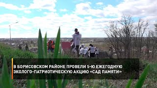В Борисовском районе провели 5-ю ежегодную эколого-патриотическую акцию «Сад памяти»