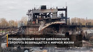 Промышленный сектор Шебекинского горокруга возвращается к мирной жизни