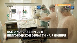 Всё о коронавирусе в Белгородской области на 9 ноября