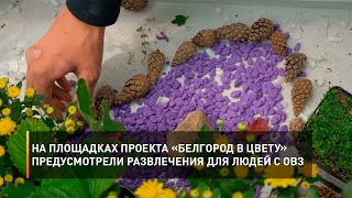 На площадках проекта «Белгород в цвету» предусмотрели развлечения для людей с ОВЗ