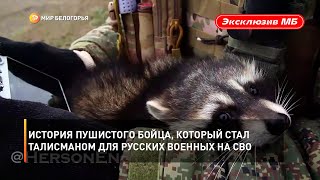 История пушистого бойца, который стал талисманом для русских военных на СВО