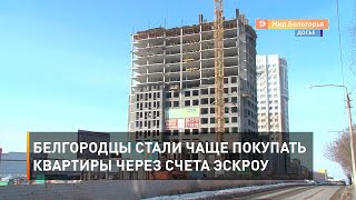 Белгородцы стали чаще покупать квартиры через счета эскроу