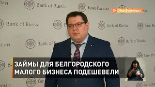 Займы для белгородского малого бизнеса подешевели