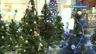 Россияне стали реже покупать елочные игрушки