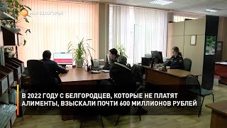 В 2022 году с белгородцев, которые не платят алименты, взыскали почти 600 миллионов рублей