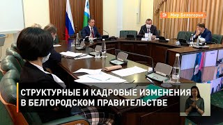 Структурные и кадровые изменения в белгородском правительстве 
