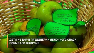 Дети из ДНР в преддверии Яблочного спаса побывали в Короче