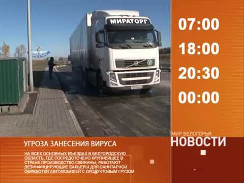 Смотрите на «Мире Белогорья» сегодня, 24 октября