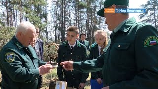 Областной семинар лесничеств в Валуйском округе