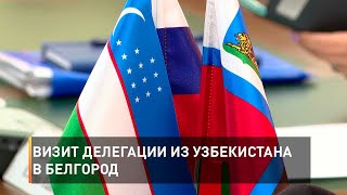 Визит делегации из Узбекистана в Белгород