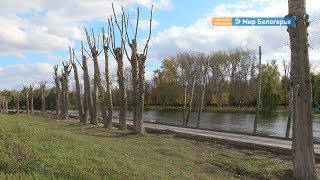В Алексеевке благоустраивают набережную