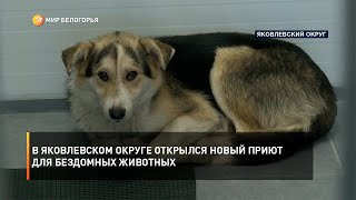 В Яковлевском округе открылся новый приют для бездомных животных