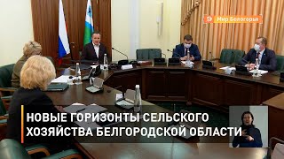 Новые горизонты сельского хозяйства Белгородской области 