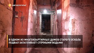 В одном из многоквартирных домов Старого Оскола подвал затапливает сточными водами