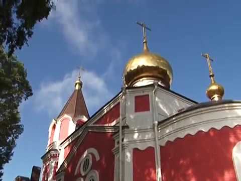Авторские программы Виталия Старикова