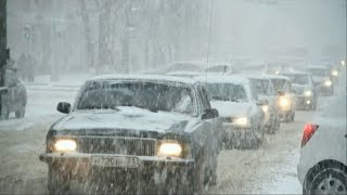 Какие автомобили чаще покупают белгородцы