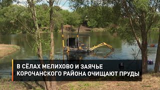 В сёлах Мелихово и Заячье Корочанского района очищают пруды