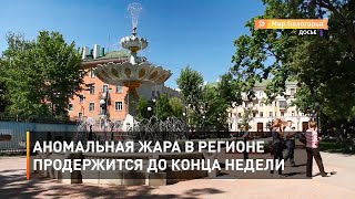 Аномальная жара в регионе продержится до конца недели 