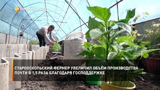 Старооскольский фермер увеличил объём производства почти в 1,5 раза благодаря господдержке
