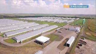 Налоги агрохолдингов хотят направить на поддержку села