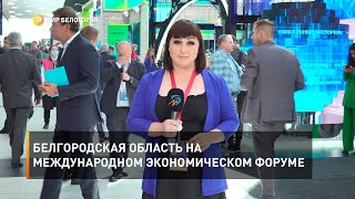 Белгородская область на Международном экономическом форуме 