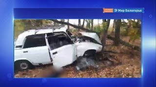Аварий на белгородских дорогах стало больше