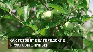 Как готовят белгородские фруктовые чипсы