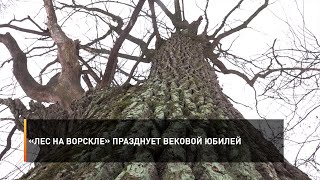«Лес на Ворскле» празднует вековой юбилей