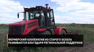 Фермерский кооператив из Старого Оскола развивается благодаря региональной поддержке