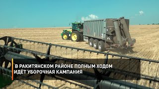 В Ракитянском районе полным ходом идёт уборочная кампания