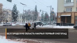 Белгородскую область накрыл первый снегопад