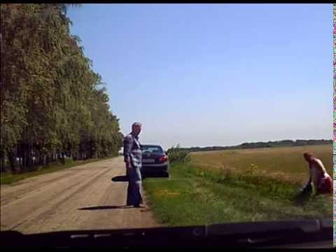 Как пенсионеры спасли пшеничное поле