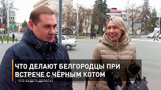Что делают белгородцы при встрече с чёрным котом
